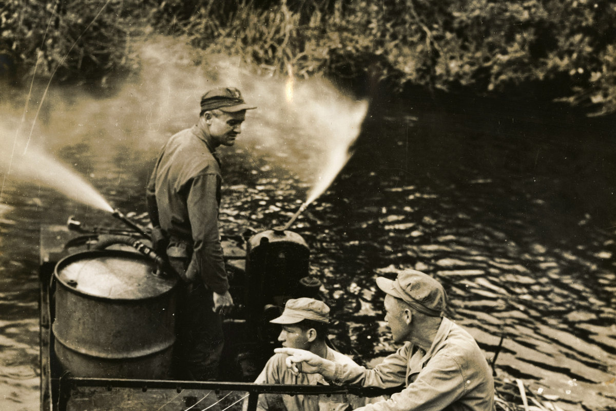 The Unbearable Lightness of Pesticide