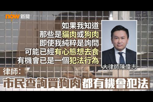 Now News Interview on a Suspected Scam Page Selling Dog Meat