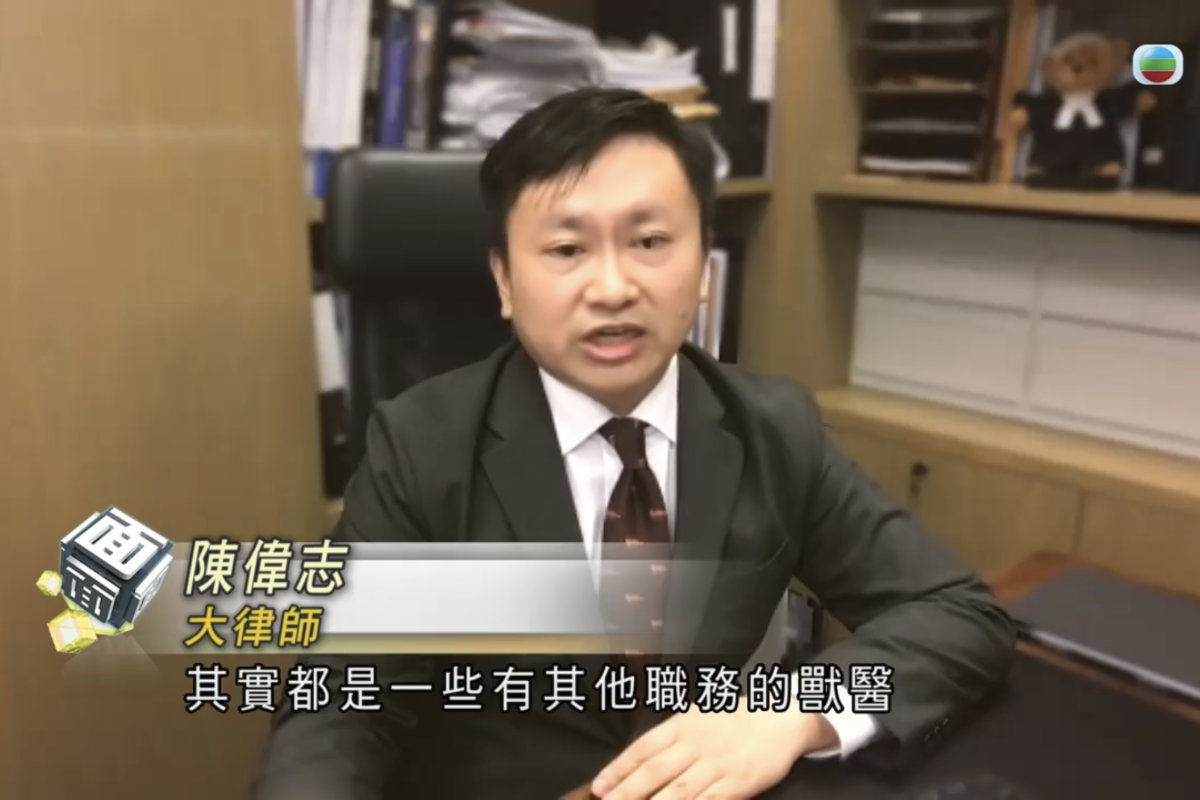 Interview by TVB News on Complaining Veterinarians