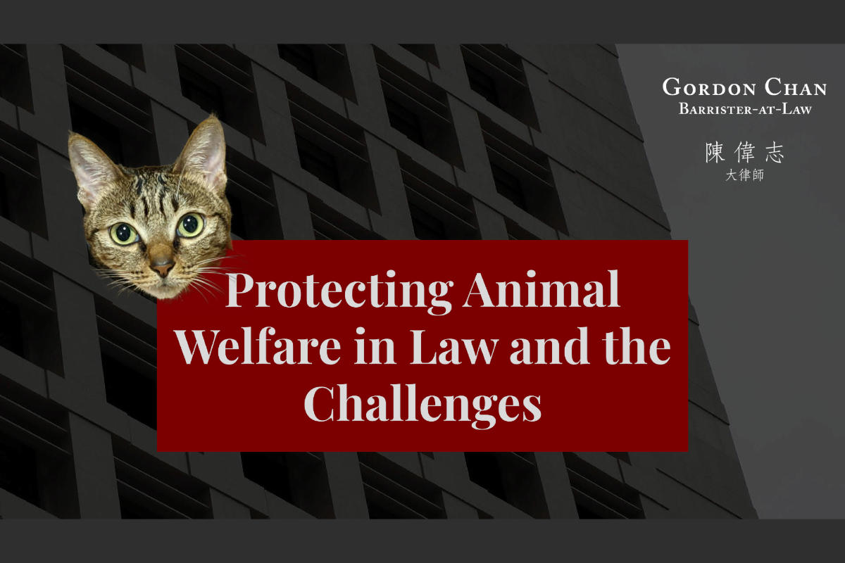 Talk on Evolution of Animal Protection Laws in Hong Kong
