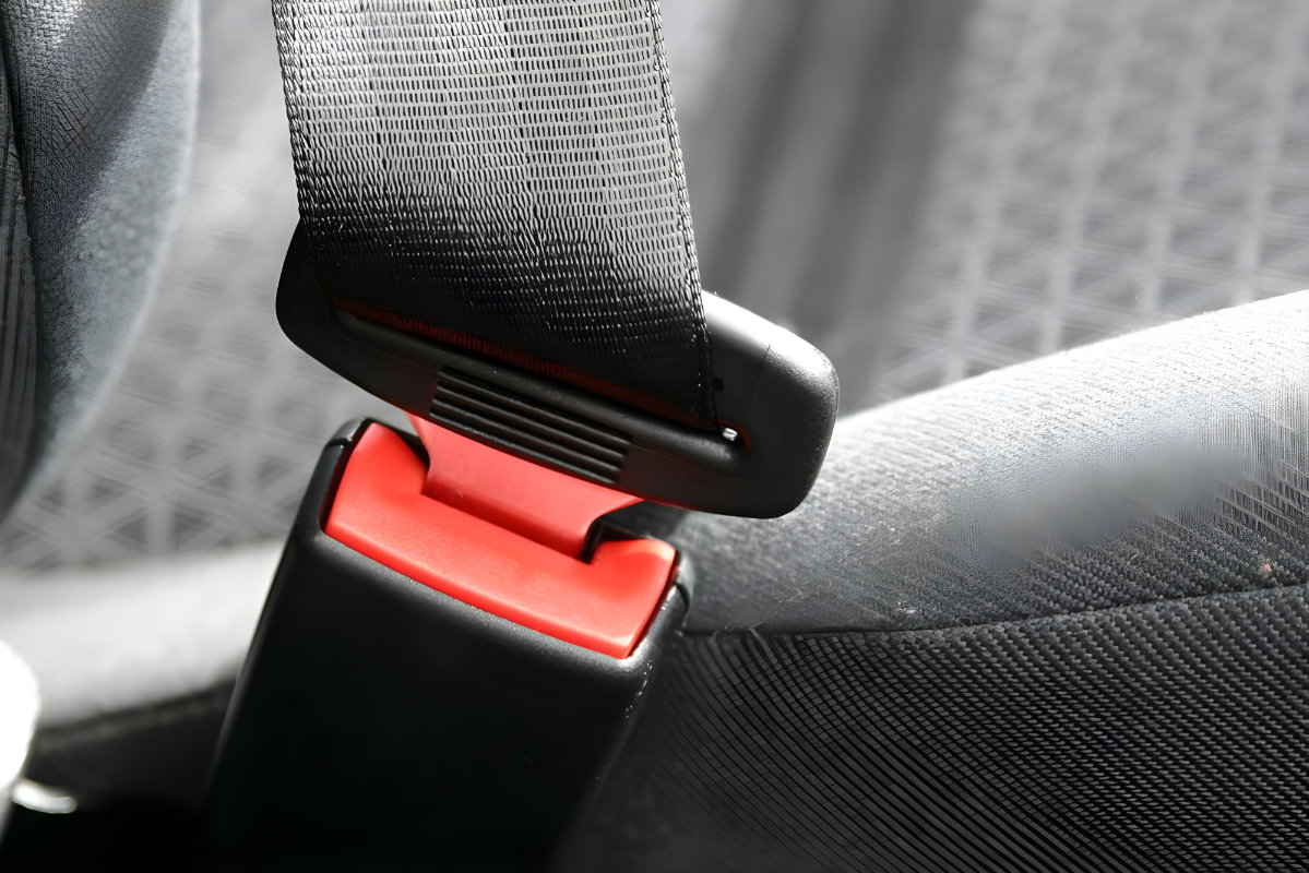 The Curious Case of Bus Seat Belts