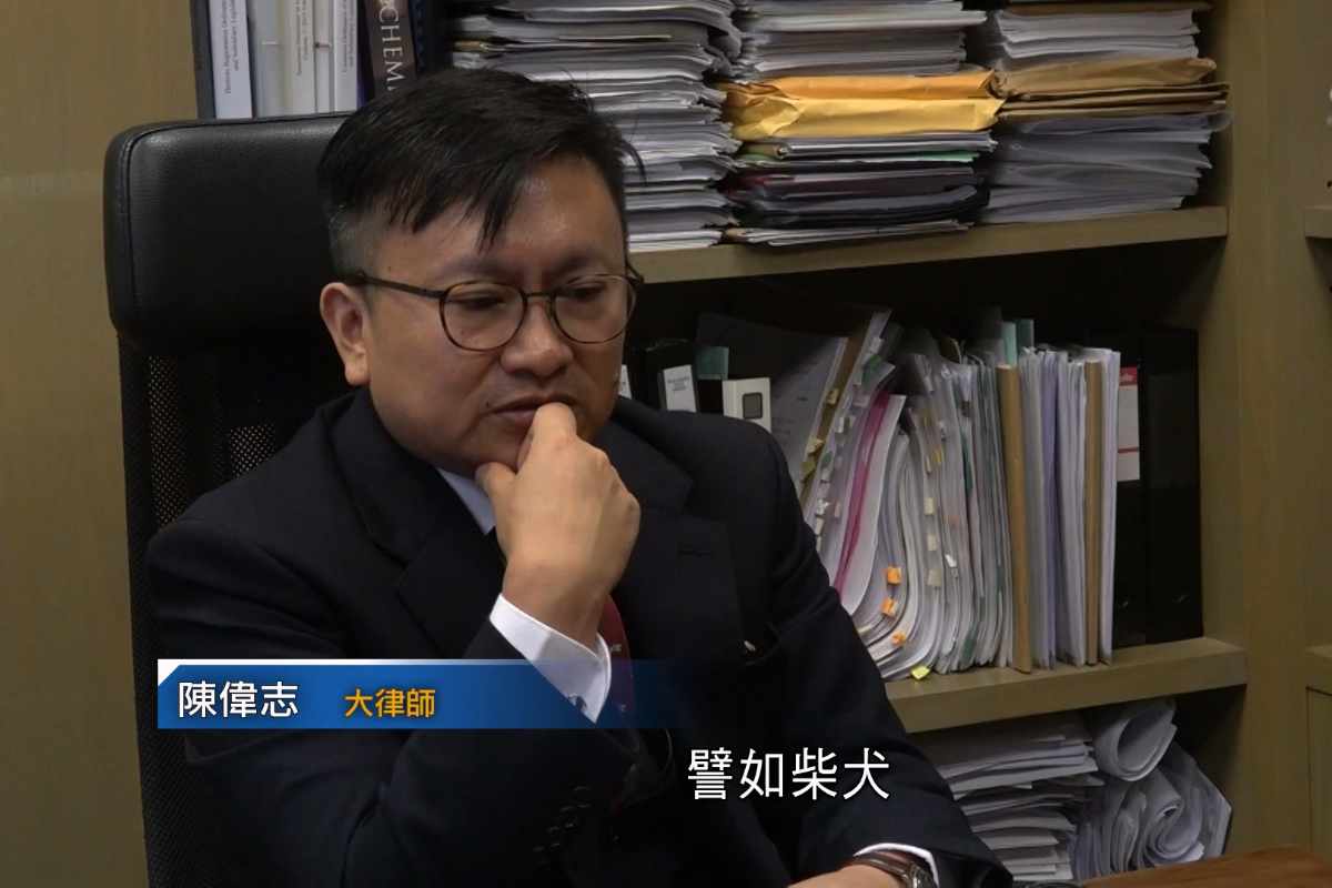 就禁養令與狗隻管束接受訪問